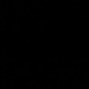 Meet your Posher, Autumn